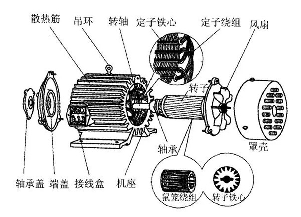 三相異步電動機的六種分類方法及具體分類。